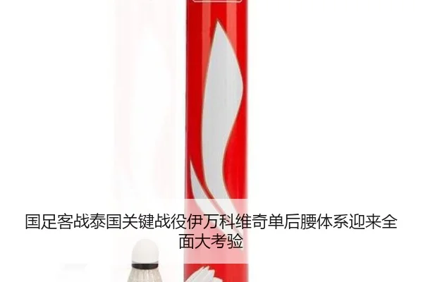 国足客战泰国关键战役伊万科维奇单后腰体系迎来全面大考验